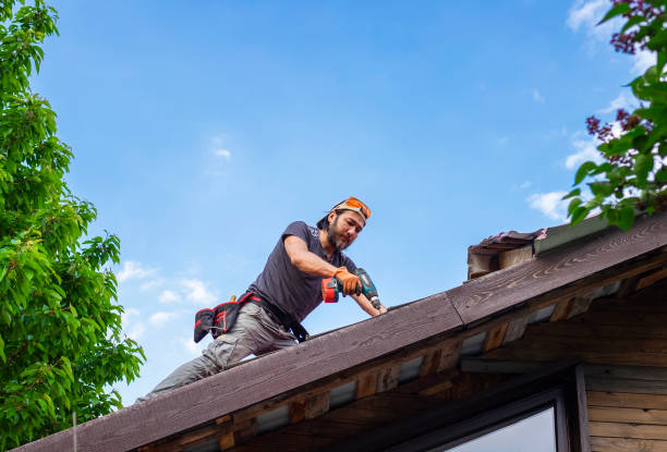 Best Roof Coating and Sealing  in Greeley, CO